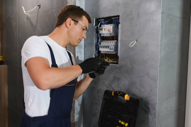 Best Electric Panel Repair  in Omaha, NE